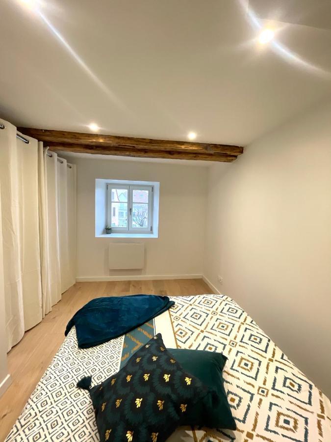 Au Coeur Des Remparts-parking Facile Apartment *